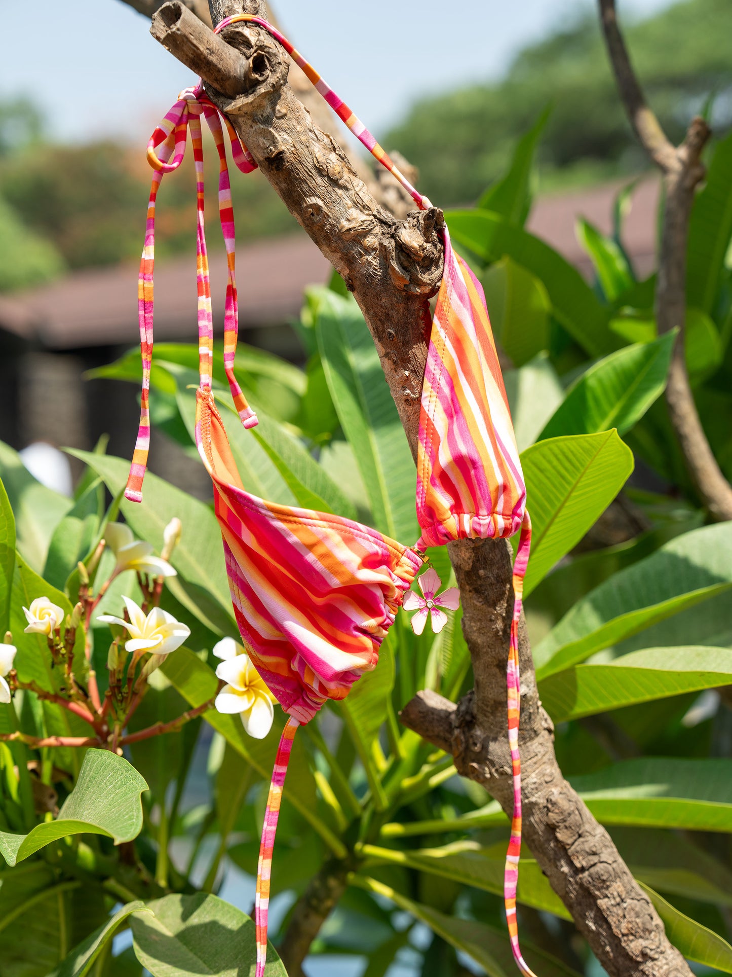 Hibiscus Bikini Charm